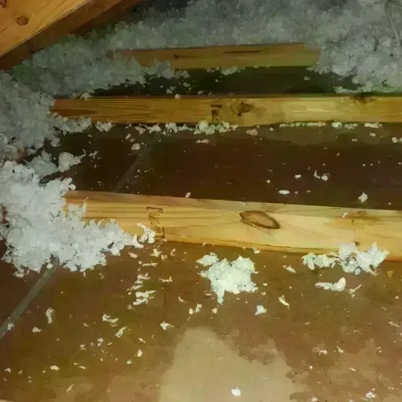 Attic Water Damage in Dallas County, AR