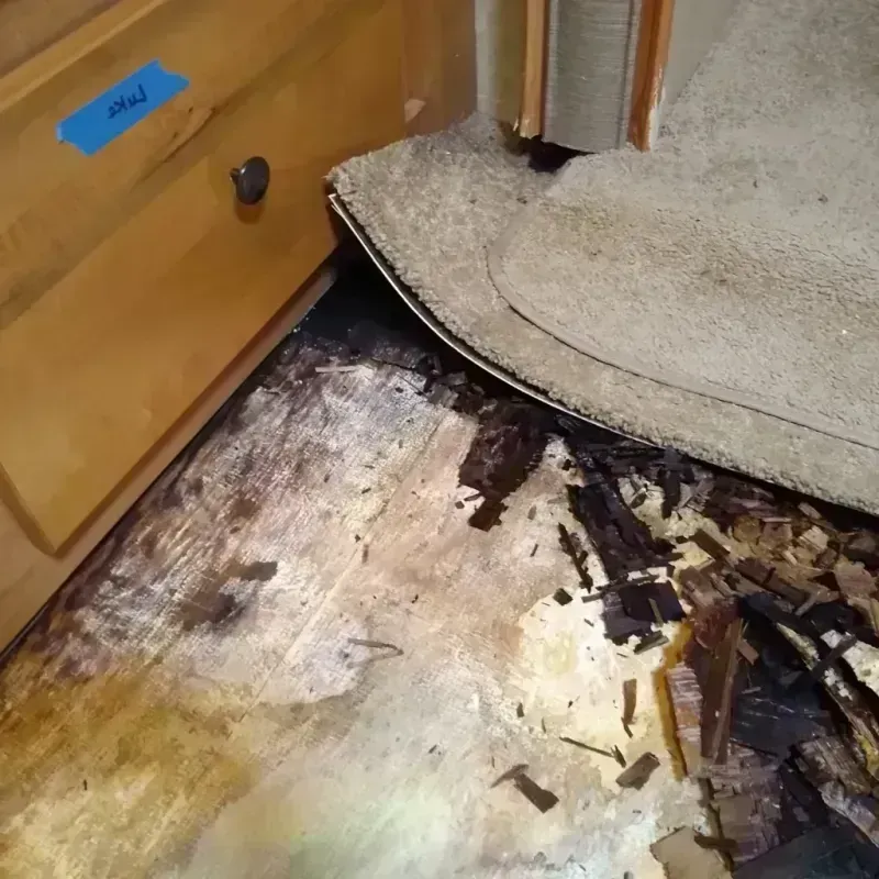 Wood Floor Water Damage in Dallas County, AR